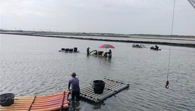 台西文蛤池遭凱米颱風淹沒 漁民憂延遲性災損難申報