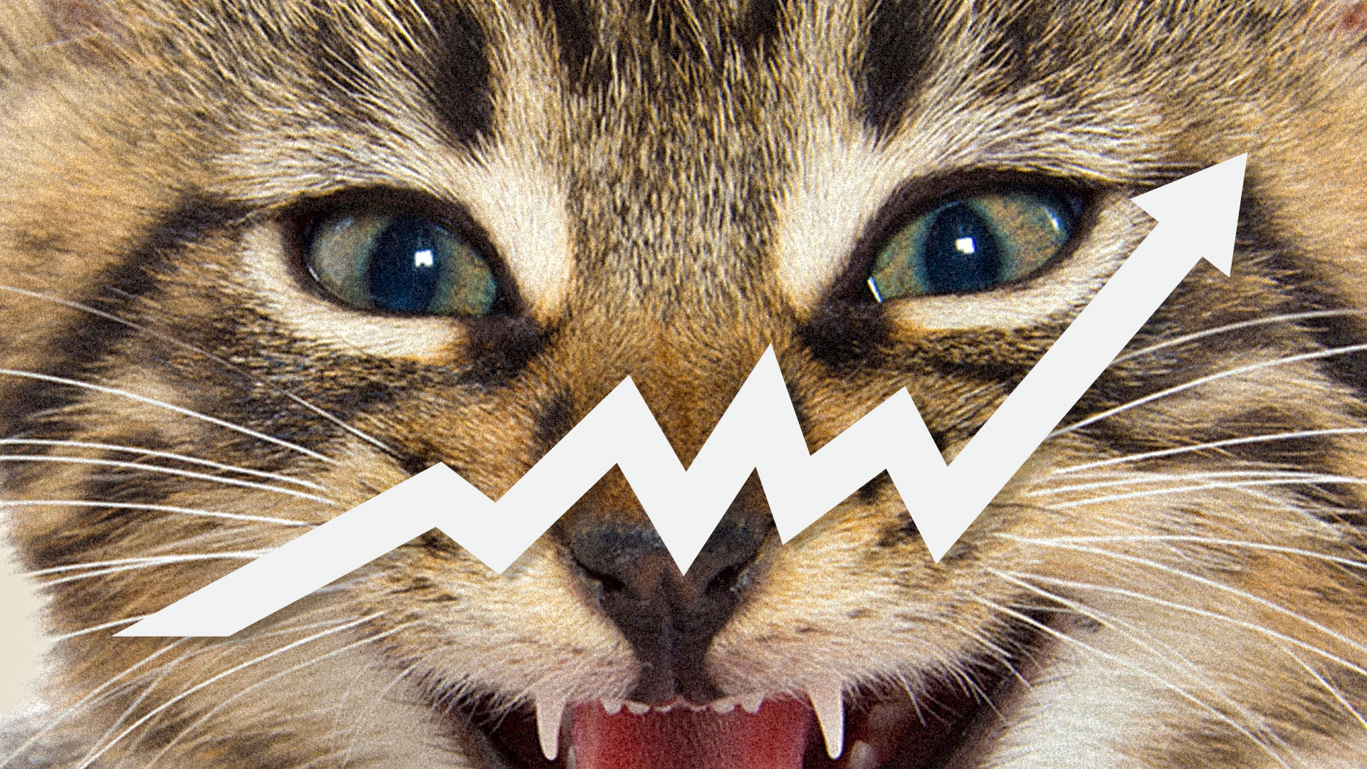 Roaring Kitty Price Prediction: KITTY Soars 26% As Analyst Says Lawsuit Against Keith Gill Is ''Doomed'' And This...