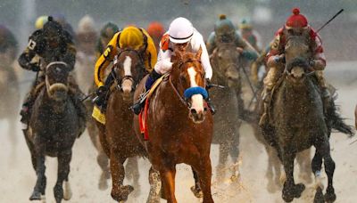 The 2024 Kentucky Derby field includes the sons of Derby winners, other top stallions