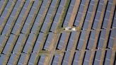 New survey finds positive perceptions of solar projects