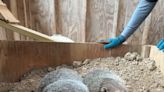 Look out, Punxsutawney Phil! Pocono Wildlife houses 2 groundhogs who will look for shadows