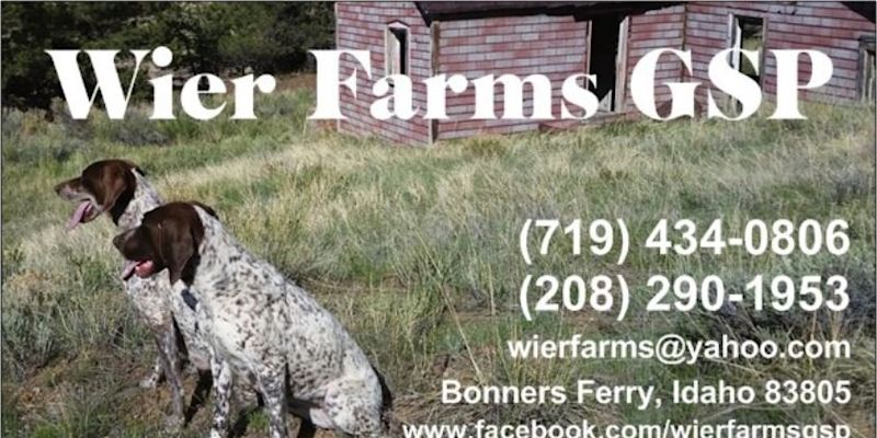 Wier Farms Gsp Bonners Ferry Yahoo Local Search Results