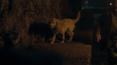 House of the Dragon Fans Furious After Dog Kicked in New Episode