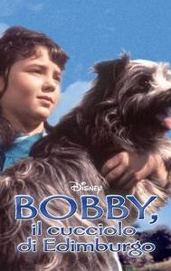 Greyfriars Bobby (film)