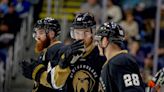 Newfoundland Growlers won't finish the season as membership in ECHL terminated