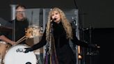 Stevie Nicks says she postponed 2 shows after an infection 'went crazy' and landed her in hospital