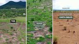 Company develops clever approach to transform dying landscapes: ‘This is what we do’