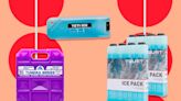 The 7 Best Ice Packs for Coolers, According to Experts
