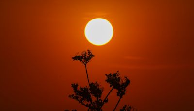 Extreme heat deadlier than wildfires, California insurance regulator says