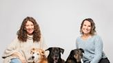 Wedding day doggy day care: FSU grads' FairyTail Pet Care enters ABC's 'Shark Tank'