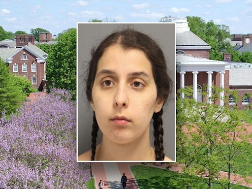 Delaware student who went on 'antisemitic tirade,' spit on Holocaust memorial charged with hate crime: warrant