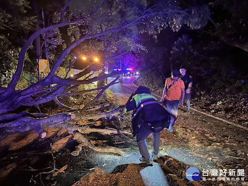 颱風逼近桃園 虎頭山環保公園路樹倒塌 警方迅速處理恢復通行