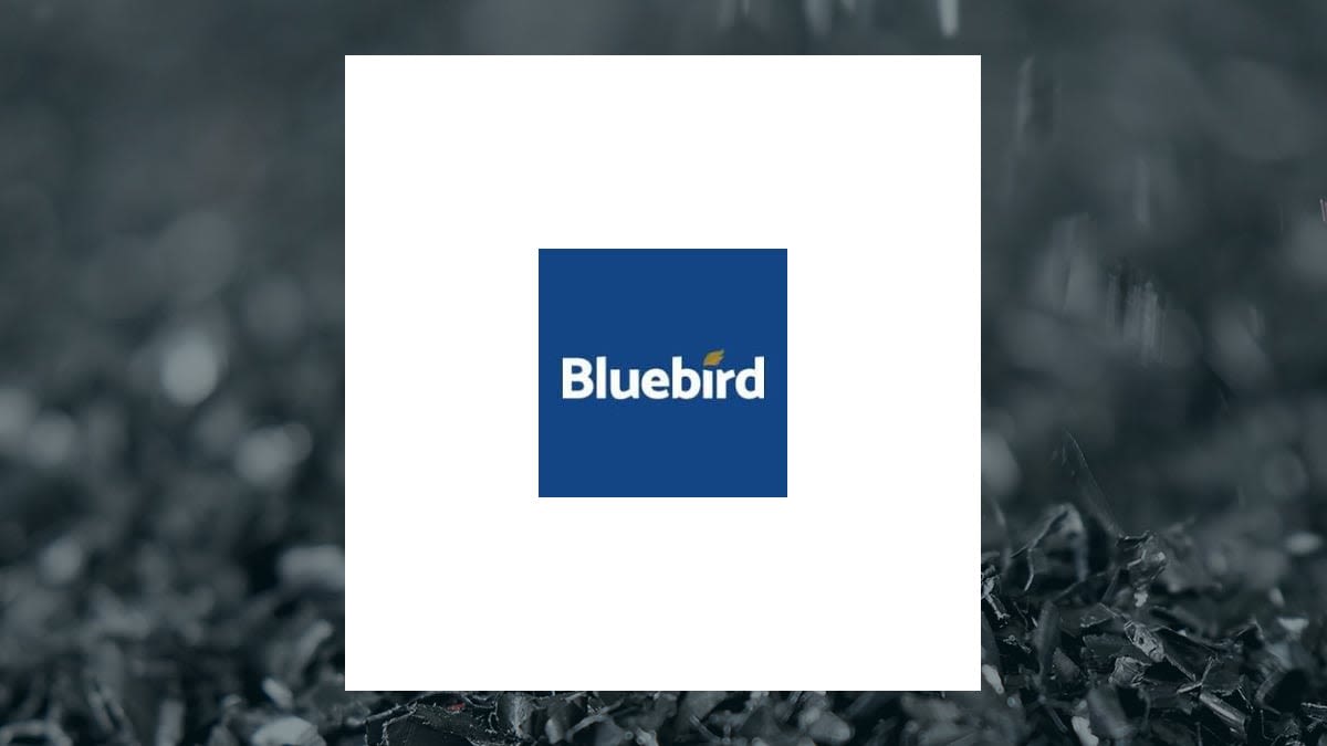 Bluebird Merchant Ventures (LON:BMV) Stock Price Down 9.1%