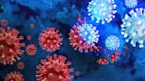 Could old coronavirus variants ever come back?