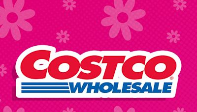 Costco’s 7 Best Frozen Desserts to Try This Summer
