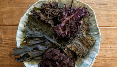 Norway women bring seaweed to culinary heights in Europe