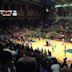 The Palestra