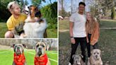 Dog trainer to the stars Tom Davis reveals the scouting report on Patrick and Brittany Mahomes pooches Silver and Steel