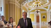 Schumer levels heavy criticism at Israel on U.S. Senate floor, calls for elections there