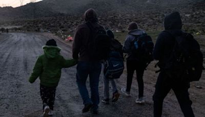 Más de 46 millones de migrantes viven en EEUU, según estudio: más de la mitad son ciudadanos por naturalización