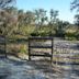 Allen David Broussard Catfish Creek Preserve State Park