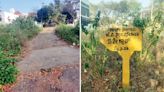 Layout formed in 1980 remains non-motorable for 26 years?! - Star of Mysore