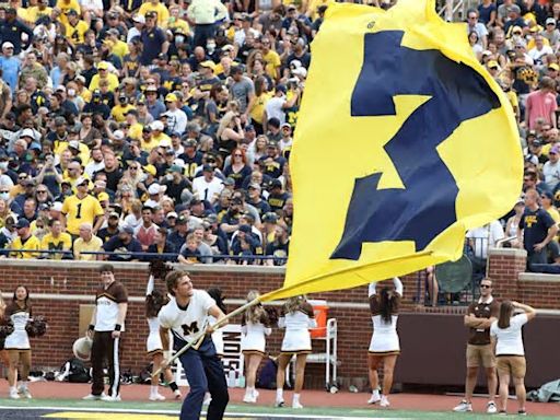 Michigan football's linebacker room continues to thin as two more hit transfer portal