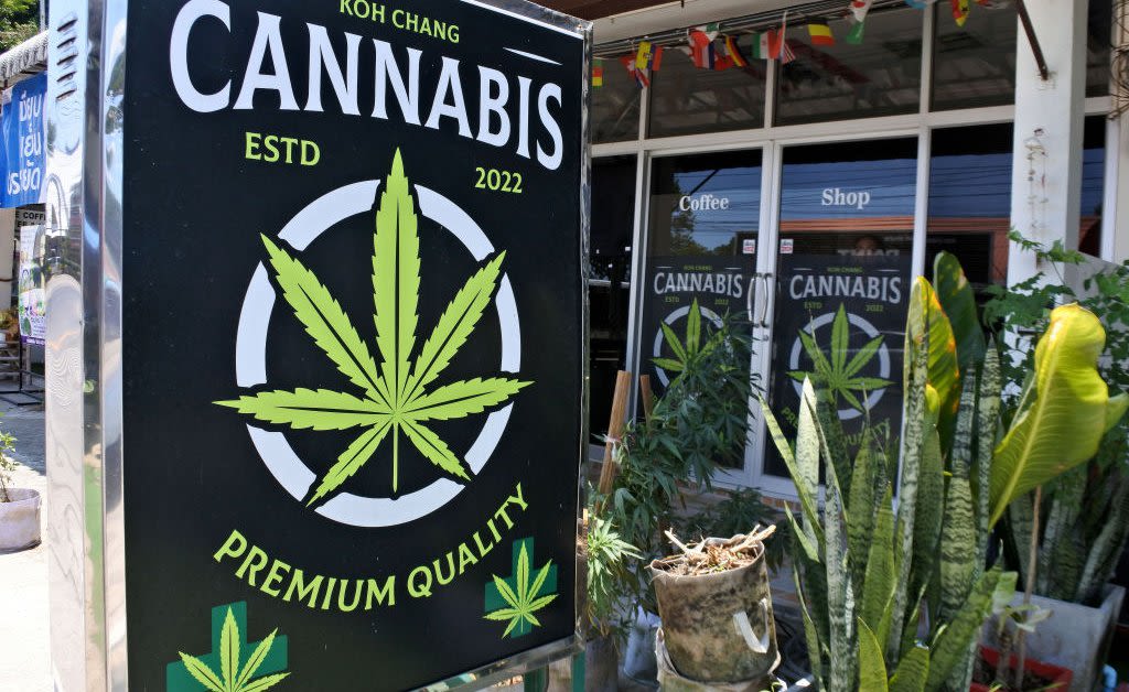 Thailand’s Cannabis Recriminalization Risks Protests and Lawsuits