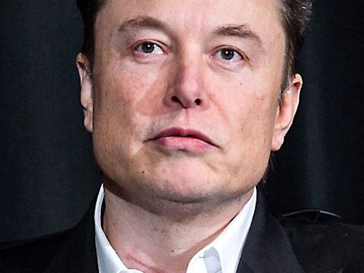 Elon Musk's Transgender Daughter, Vivian Wilson, Speaks Out About Father's Absence And Cruelty: 'He's Very Quick ...