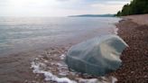 Minnesota has a new scientific and natural area on Lake Superior