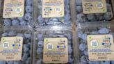 Ninjacart partners Peru’s Camposol to import Peruvian blueberries