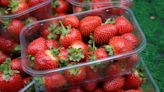 Alarm over public health as ‘forever chemicals’ found in fruit and vegetables