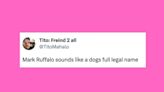 22 Of The Funniest Tweets About Cats And Dogs This Week (July 22-28)