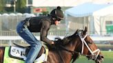 Did Fierceness Run Too Fast in the Florida Derby?