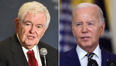 Biden faced with three 'very different problems' in bid to defeat Trump, says Newt Gingrich