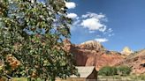 Capitol Reef National Park proposes major rehabilitation project on Scenic Drive