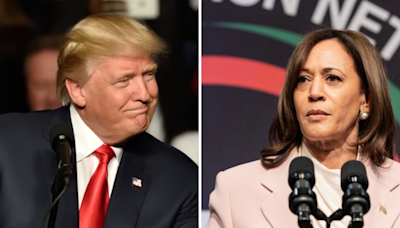 Trump Slams Harris For Pushing Left-Wing Values: 'She Was A Bum Three Weeks Ago ... A Failed Vice President'