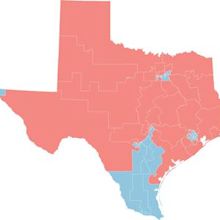 2020 United States House of Representatives elections in Texas