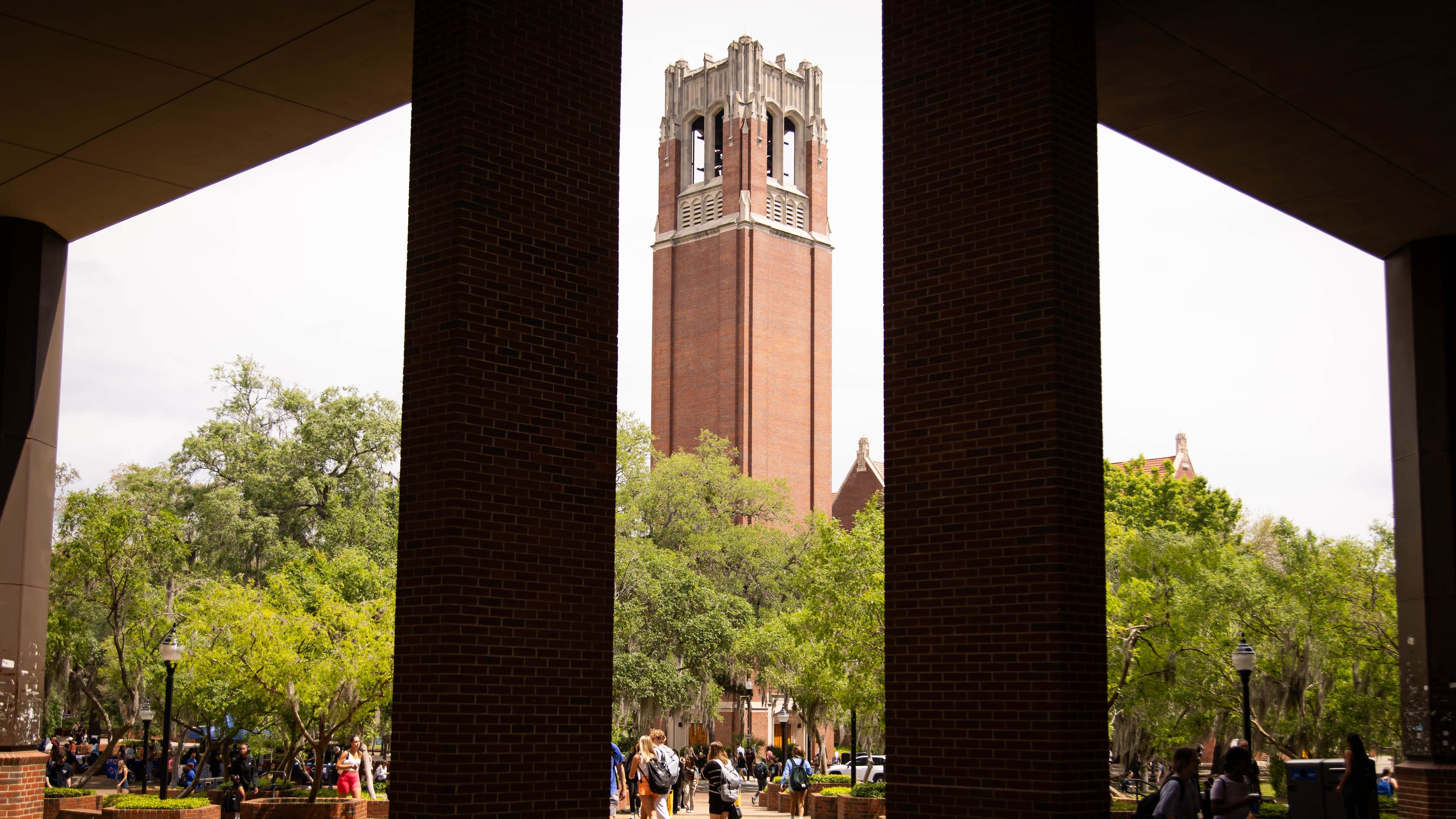 Ivy League? Forbes list puts UF among top 10 public 'New Ivies'