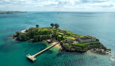 Six-acre island with private beach off the coast of Plymouth goes up for sale