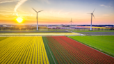 EU Parliament Votes To Include Nuclear, Gas In ESG Taxonomy