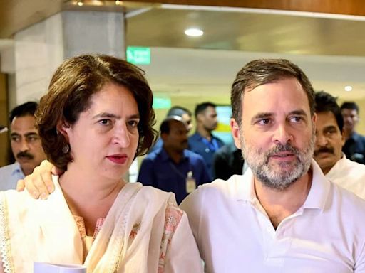 ‘Who’s more useless - Rahul or Priyanka': BJP attacks Gandhis over Rae Bareli-Wayanad call