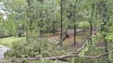 Summer storm strikes Habersham early