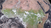 An unusual shift in the weather has turned the Sahara green