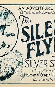 The Silent Flyer