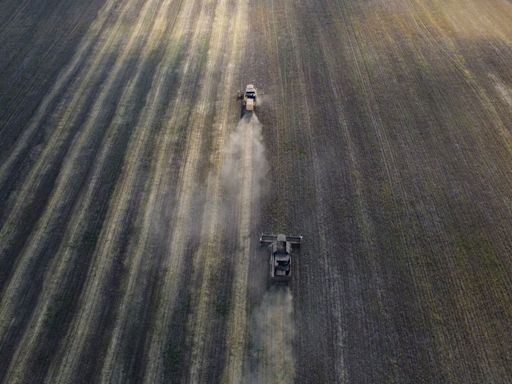 Russian Wheat Shipments Set to Slow After Record Early Pace