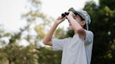 Birdwatcher spots creepy animal in bird box – and people are 'terrified'