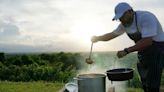 Buying Local Isn’t Easy In Puerto Rico — But The Fight For Food Sovereignty Is Brewing