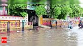 Heavy Rain Brings Smiles to Paddy Farmers in Kashi | Varanasi News - Times of India