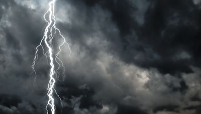 Florida teenager survives 'instantaneous' lightning strike: Reports